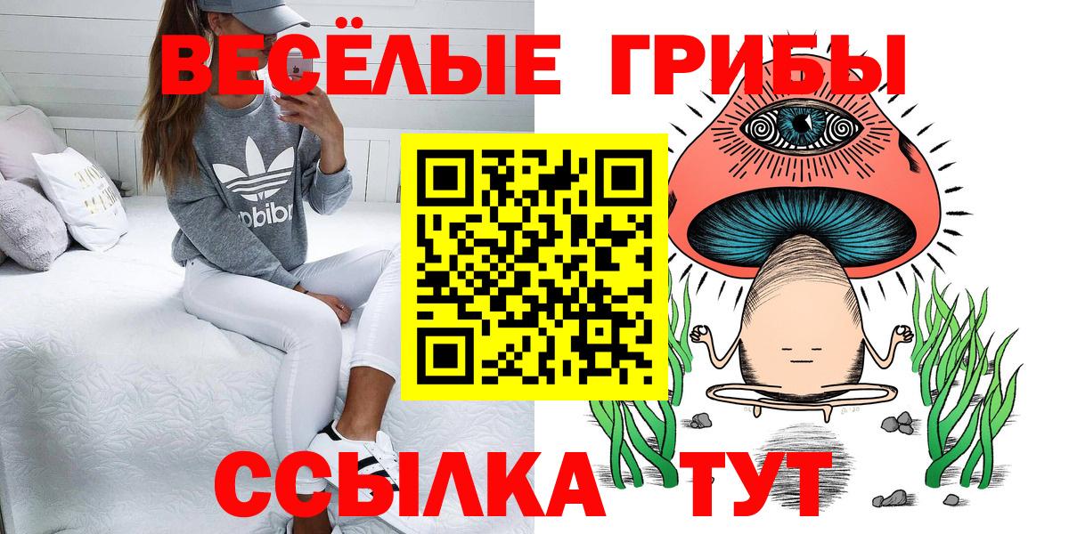 Псилоцибиновые грибы мицелий  наркошоп  Еманжелинск  Вход с VPN 